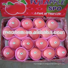 noms tous les fruits fuji apple